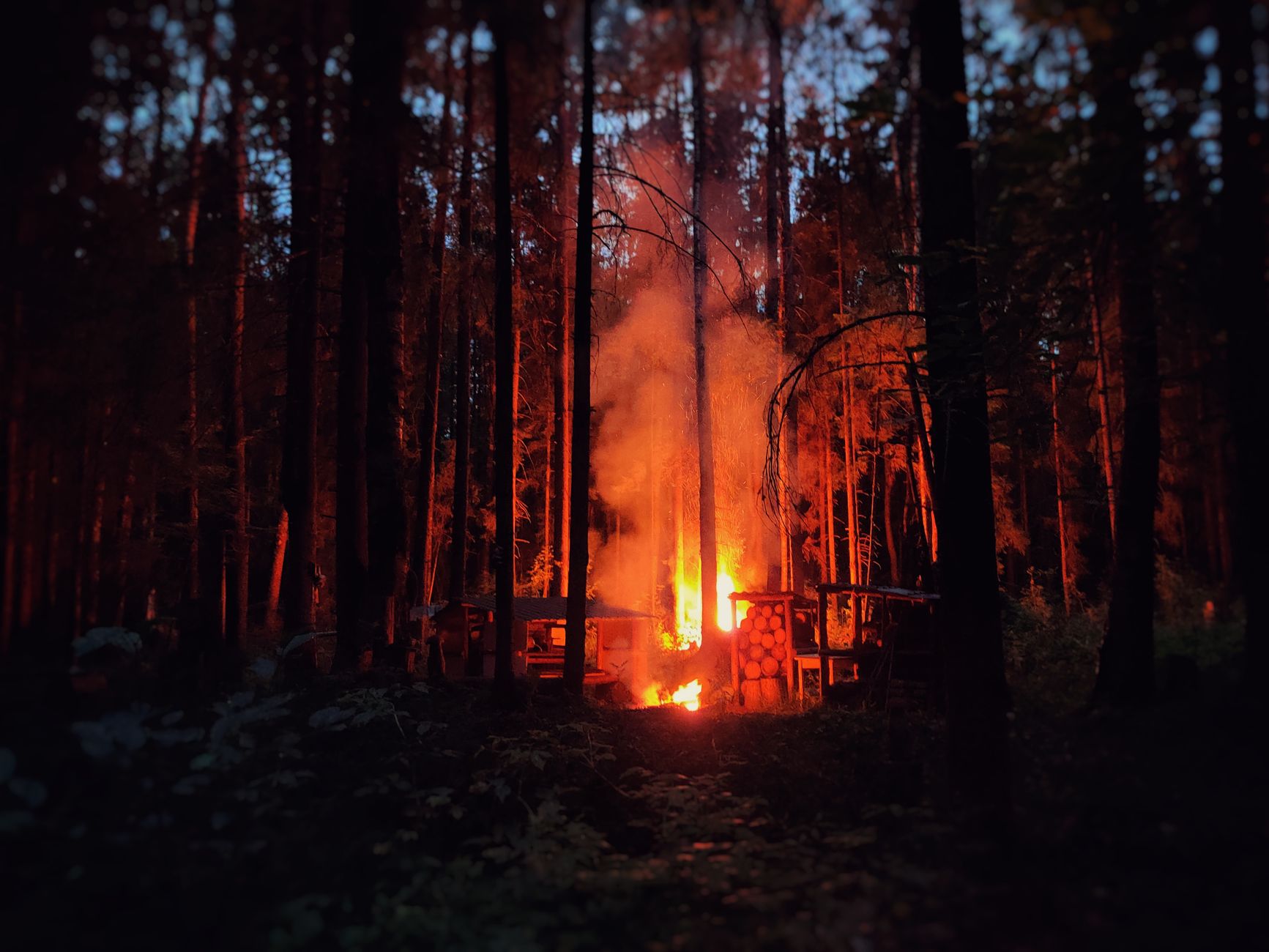 Waldbrandgefahrenstufe im Altmarkkreis Salzwedel steigt auf 5