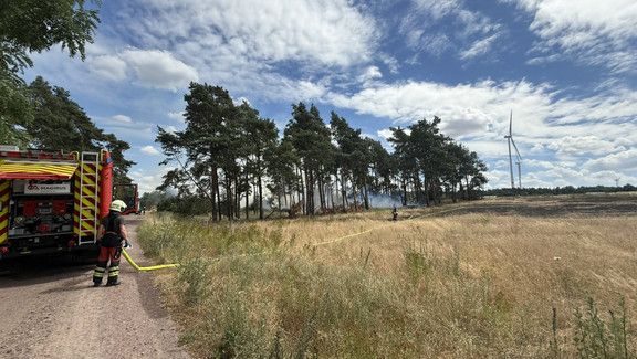 Feldbrand bei Schermen: Wind treibt Flammen bei Erntearbeiten bis ins Waldstück