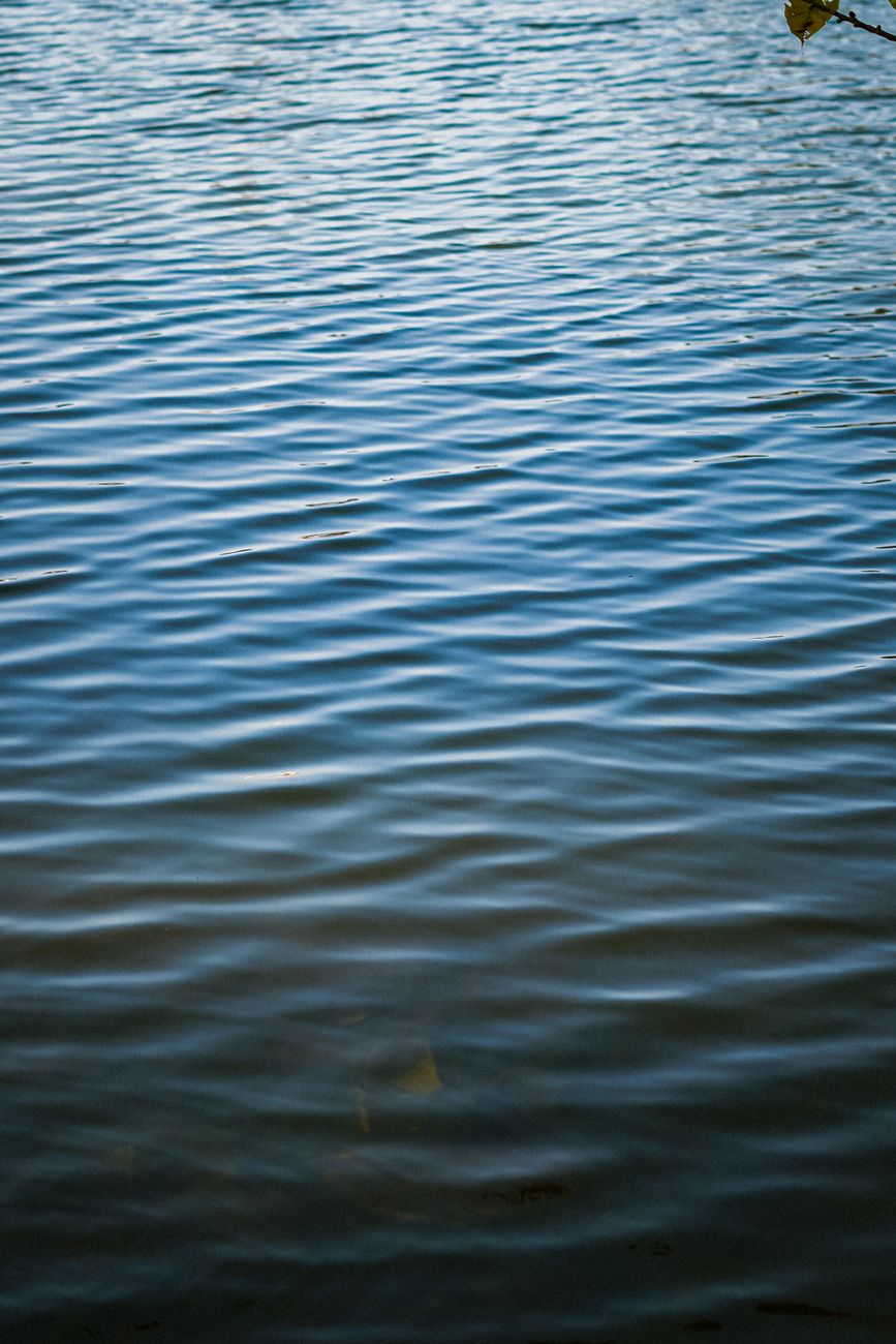 surface of a lake