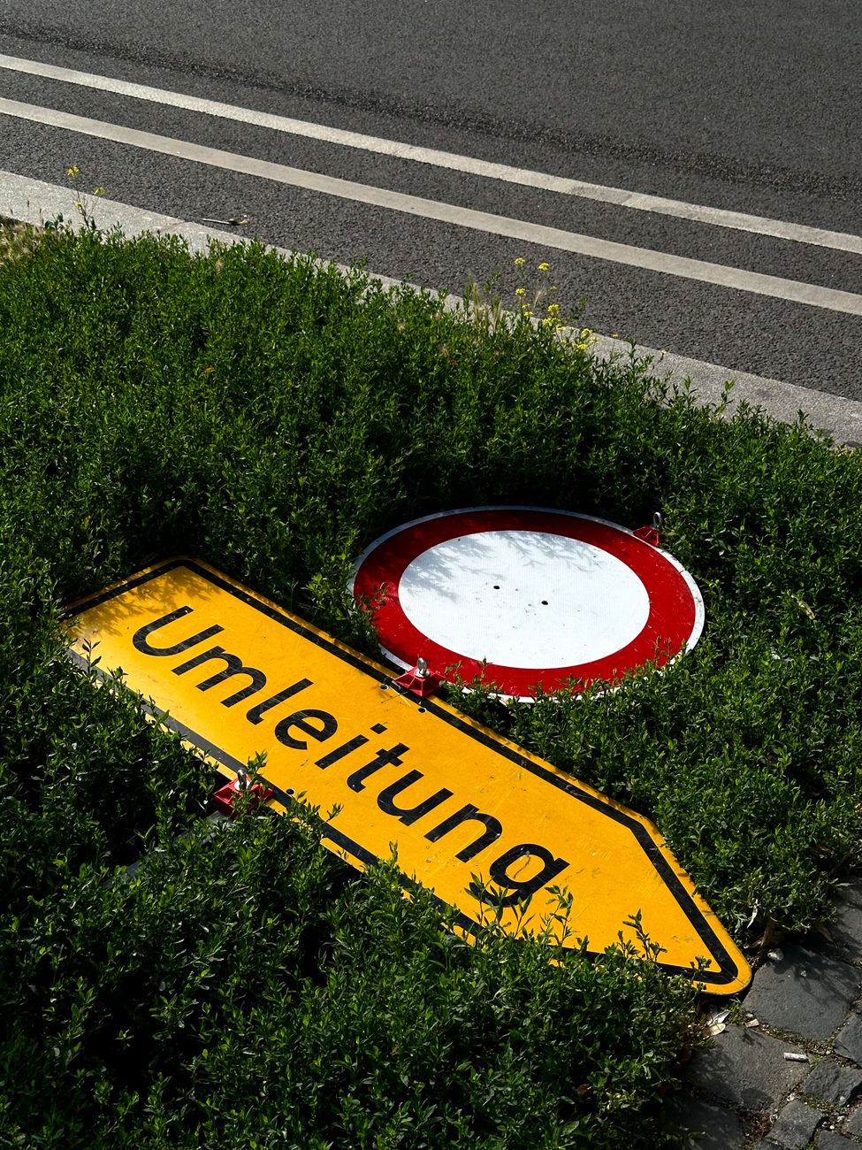 road sign lying down in grass
