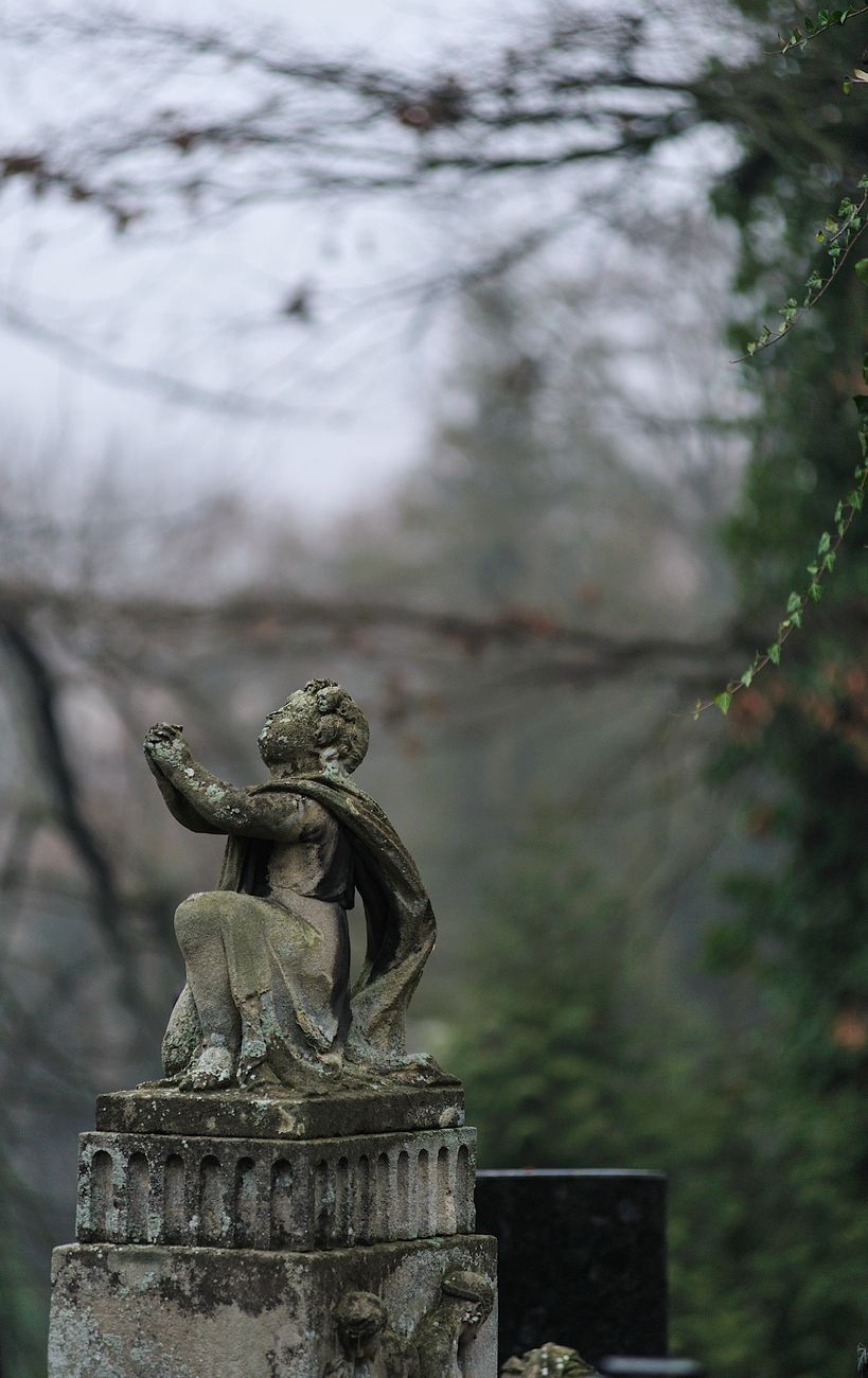 statue in close up photography