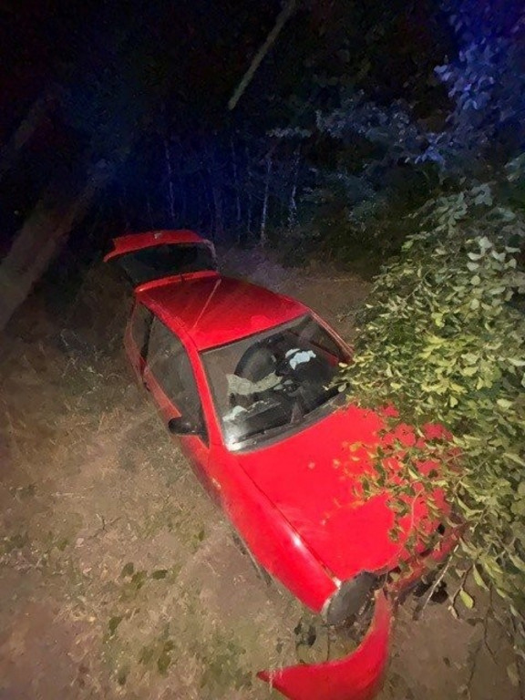 Quedlinburger (20) krachte betrunken gegen Baum