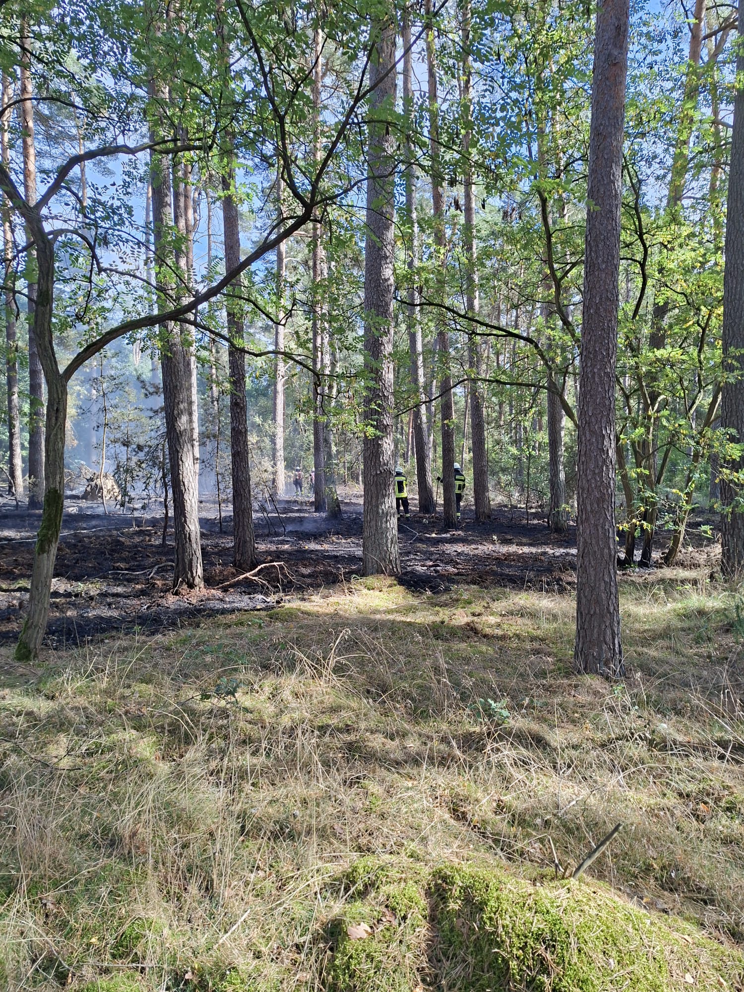 Seethen: 25 Feuerwehrleute kämpfen gegen Waldbrand