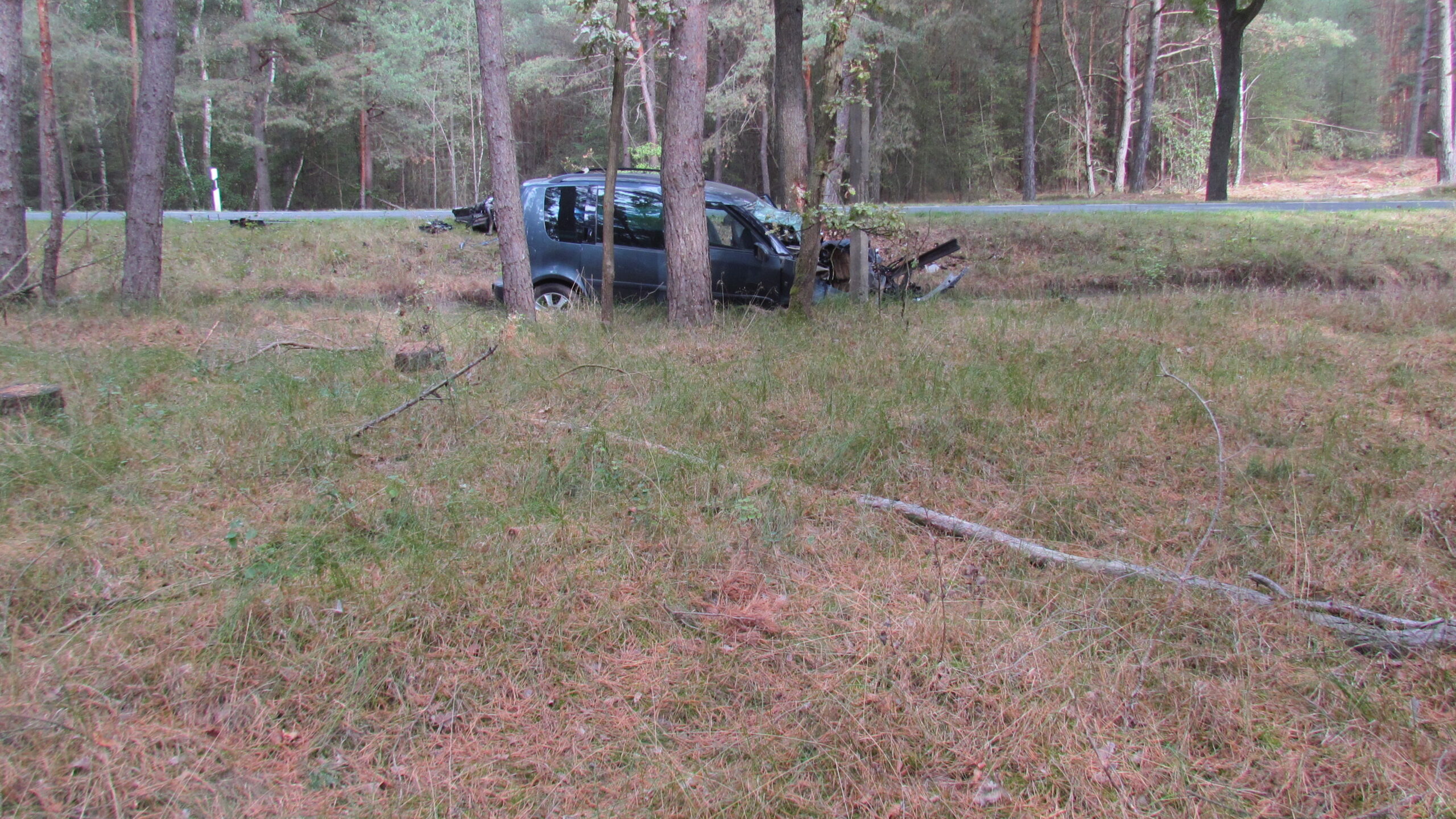 Arendsee: Skoda prallt gegen Baum – Frau schwer verletzt