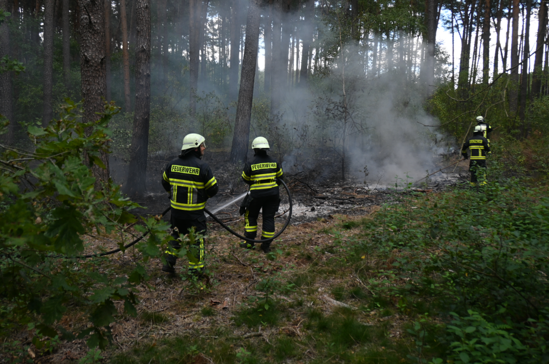 Jävenitz: Feuerwehr löscht Waldbrand bei Kloster Neuendorf